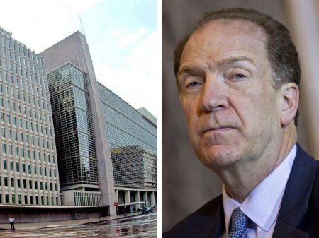 Назван новый президент Всемирного банка