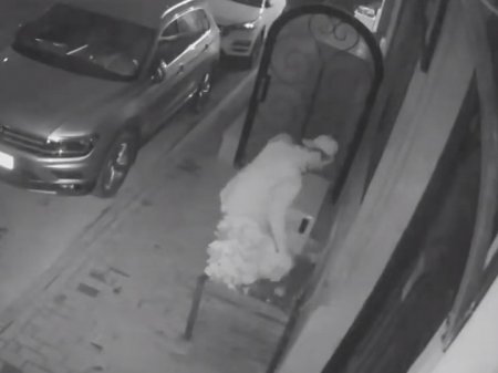 «Что с такими делать?»: В центре Баку массово крадут цветы в горшках, установленных для красоты в столице