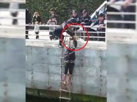 «Добрый поступок»: В Баку сотрудники МЧС и полиции спасли кошку, упавшую в море на бульваре 