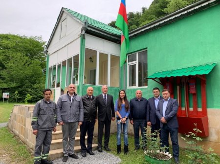 Кавказских зубров возвращают азербайджанской природе