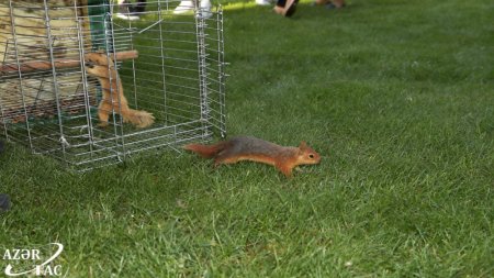 Проект «Городская экология» успешно продолжается 