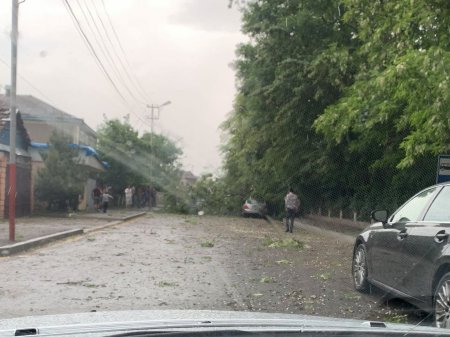 Сильный ветер привел к отключению электричества в северных районах Азербайджана