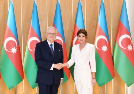 Дэвид де Ротшильд на встрече с Мехрибан Алиевой