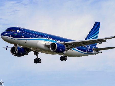 В самолет AZAL врезалась птица