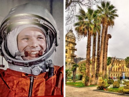 Бахрам Багирзаде: Многие даже не подозревают, что в центре Баку растут пальмы, которые посадил Юрий Гагарин – ФОТО