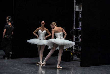 Французские балерины станцевали против пенсионной реформы