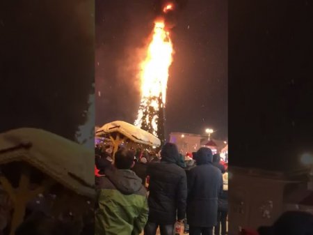 В Азербайджане сгорела новогодняя елка высотой 10 метров