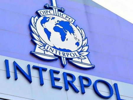 Арестованная по линии Интерпола азербайджанка предстанет перед судом