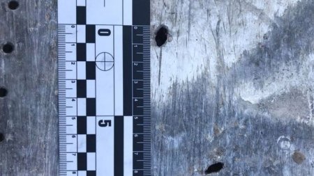 Украина еще до заявления Ирана знала, что случилось с ее самолетом