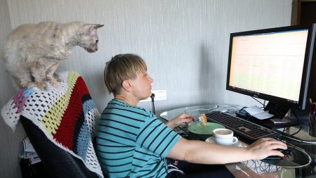 Законопроект об «удаленке» прошел второе чтение в Госдуме