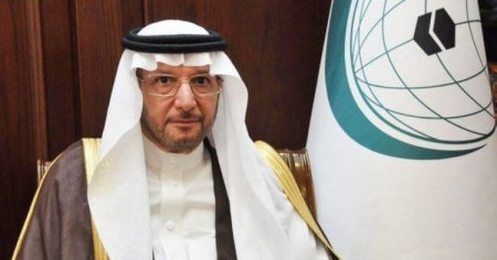 Генсек Организации исламского сотрудничества: ОИС поддерживает все усилия Азербайджана, стоит за Азербайджаном