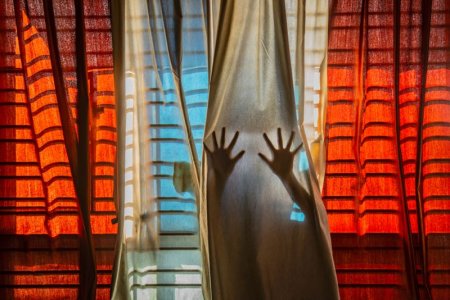 Фото: победители Sony World Photography Awards