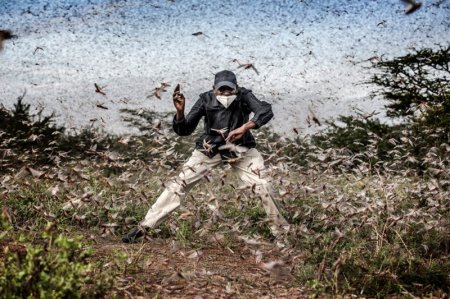 Фото: победители Sony World Photography Awards
