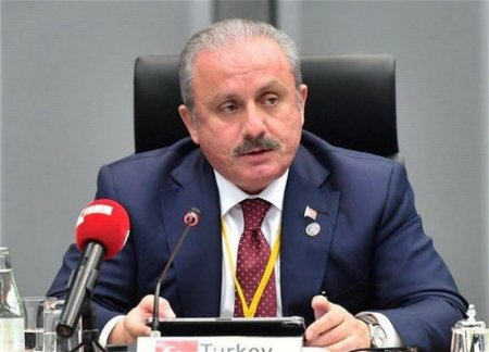 Мустафа Шентоп: Виновные в преступлениях против человечества страны должны быть осторожны в заявлениях в адрес Турции