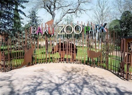 Состоялось открытие после реконструкции Бакинского зоопарка