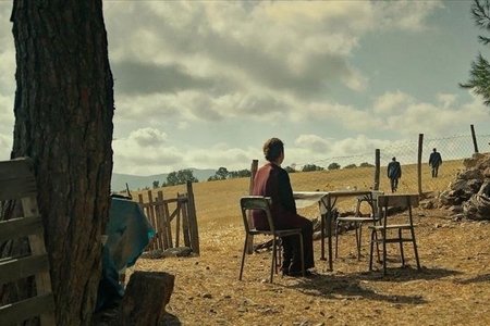 Фильм турецкого режиссера номинирован на Оскар