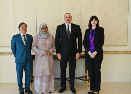 Ильхам Алиев принял исполнительного директора Программы ООН по населенным пунктам 