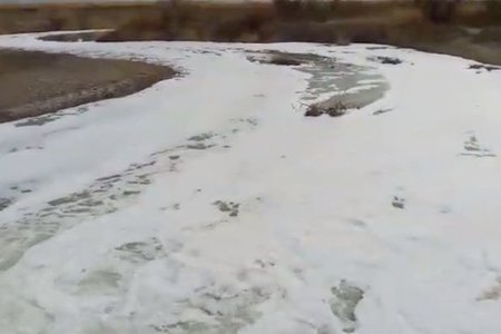 В США покрывшая реку белая пена оказалась шампунем для собак