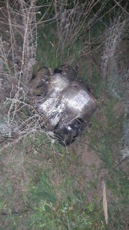 Перестрелка на азербайджано-иранской границе, убит вооруженный наркоторговец