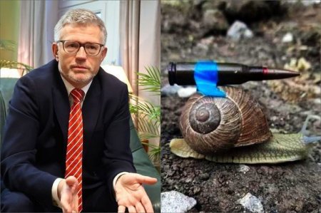 Улитка с патроном