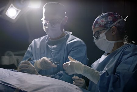 Зачем Neuralink Илона Маска проводит смертельные эксперименты на животных и есть ли у проекта будущее?