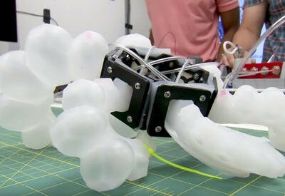 Создано искусственное мягкое «сердце» для роботов