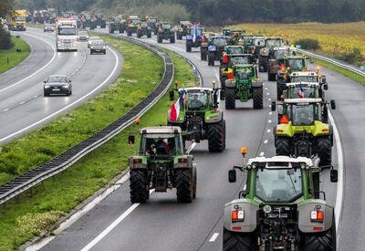 Протесты фермеров в Нидерландах