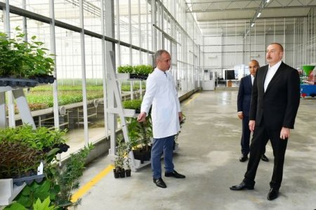 Алиевы на открытии завода Azbadam 