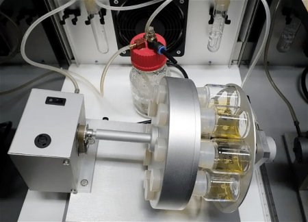 Ученые впервые создали синтетические эмбрионы