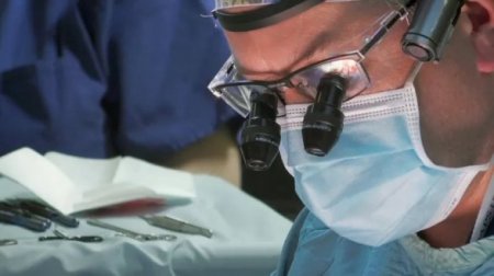 Открытие американских ученых: оживили органы свиньи через час после смерти