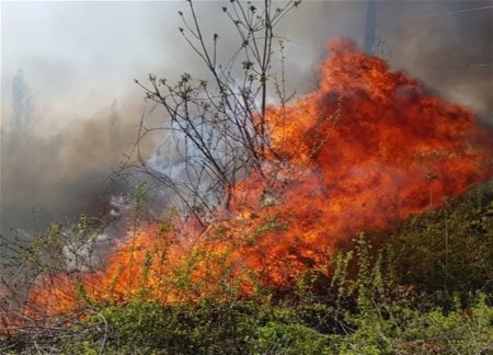 На территории Огузского района вспыхнул пожар