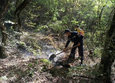 МЧС: Все пожары в северном регионе ликвидированы