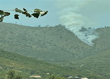 В Шеки продолжается пожар 