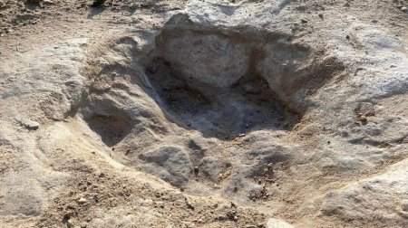 Сильнейшая засуха в США обнажила огромные следы динозавров