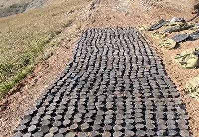 Отчет ANAMA по итогам работы за неделю