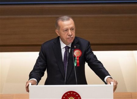 Эрдоган раскритиковал работу Европейского суда по правам человека