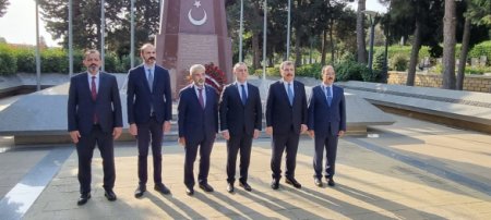 Министр здравоохранения Турции в Баку