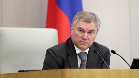 Володин призвал депутатов «помочь своим участием в специальной военной операции»
