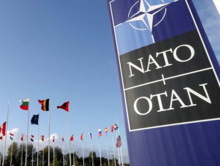 Белый дом предложил повременить с вступлением Украины в НАТО