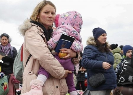 Сколько украинских беженцев въехали в Азербайджан?