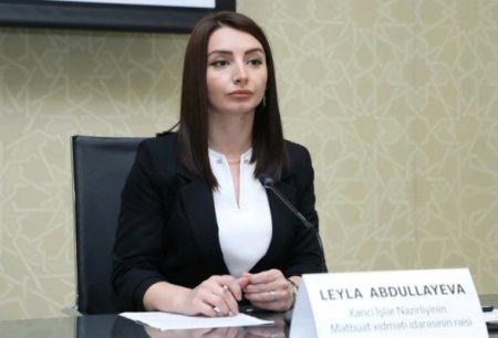Лейла Абдуллаева призвала Ереван не лгать о потерях Азербайджана