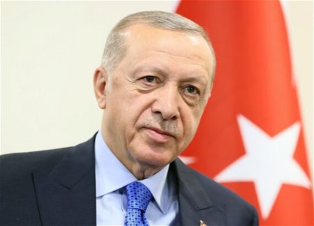 Эрдоган поздравил азербайджанский народ с Днем восстановления независимости 