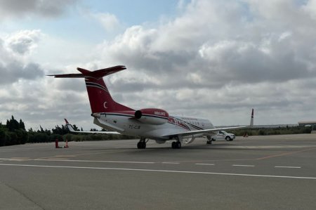 Бинали Йылдырым и Шамиль Айрым отправлены в Турцию