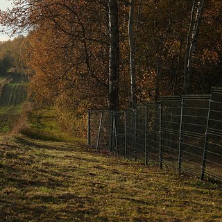 Польша начала строить забор на границе с Россией