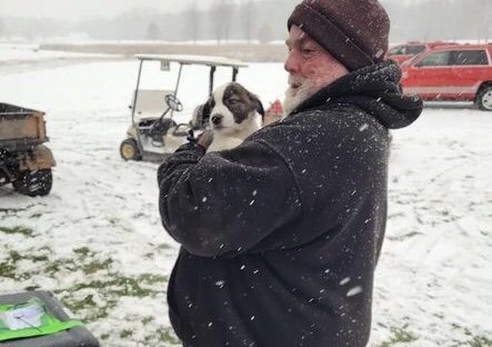 В США разбился самолет с 53 собаками на борту - ФОТО