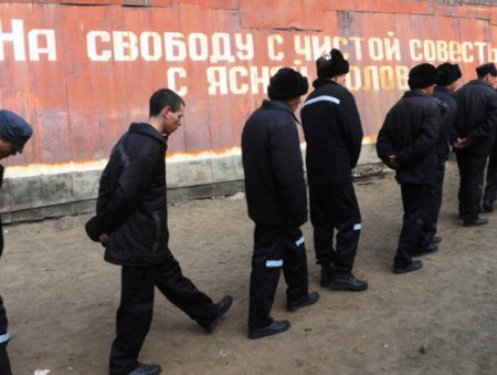 Названо число убитых российских заключенных в Украине