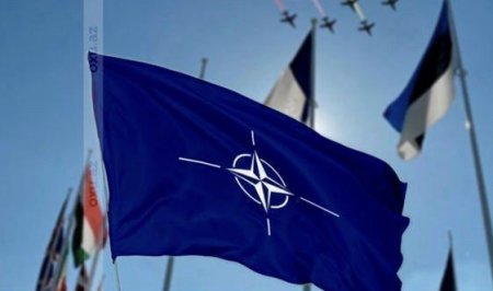 В Сербии подали в суд на НАТО за бомбардировки обедненным ураном