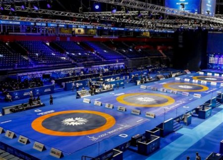 Азербайджан уступил Сербии право на проведение чемпионата мира по борьбе. Президент 