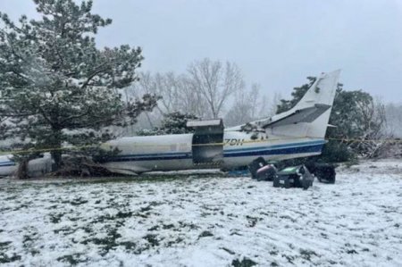 В США разбился самолет с 53 собаками на борту - ФОТО