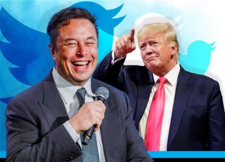 Маск открыл голосование по вопросу восстановления Twitter-аккаунта Трампа